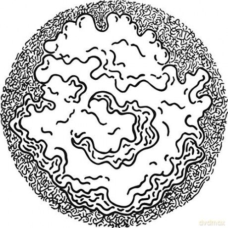 Ostrowski: Primary Fluctuation [Winyl]