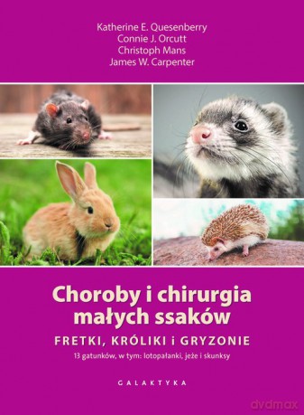Choroby i chirurgia małych ssaków Fretki, króliki, gryzonie - E. Quesenberry Katherine, J. Orcutt Connie [KSIĄŻKA]