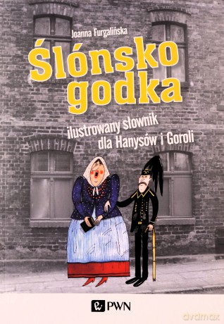 Ślónsko godka Ilustrowany słownik dla Hanysów i Goroli - Joanna Furgalińska [KSIĄŻKA]