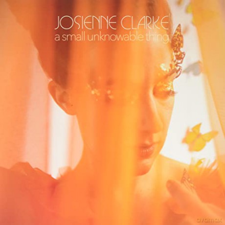 Josienne Clarke: A Small Unknowable Thing [Winyl]