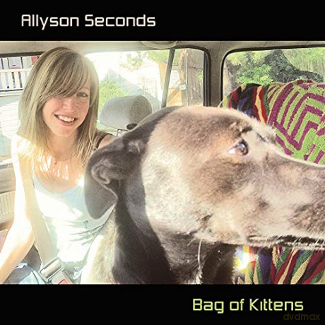 Allyson Seconds: Bag Of Kittens [CD]
