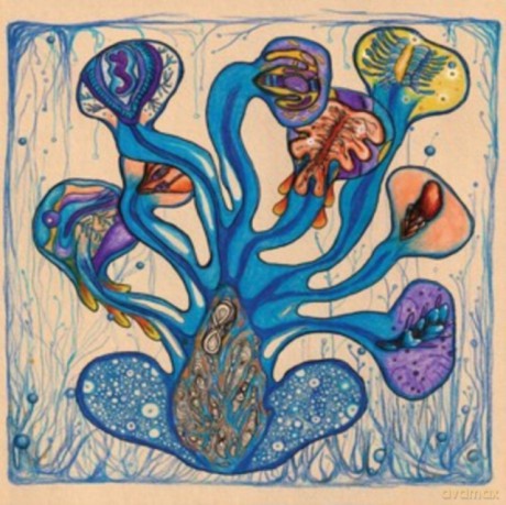 Houeida Hedfi: Fleuves De L Ame [CD]