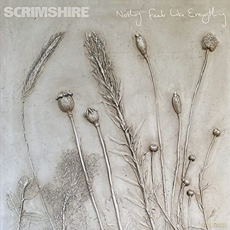 Scrimshire: Nothing Feels Like Everything (Picture Sleeve) [Winyl]