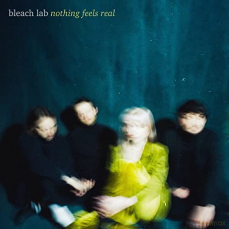 Bleach Lab: NOTHING FEELS REAL [Winyl]