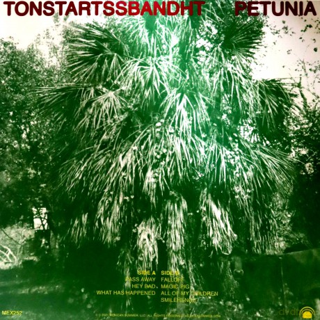 Tonstartssbandht: Petunia [Winyl]