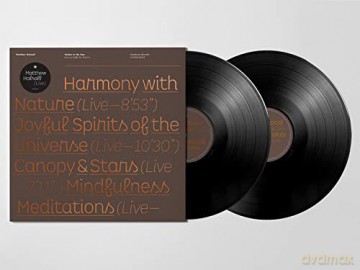 Matthew Halsall: Salute To The Sun Live At Halle St Peter's [2xWinyl]