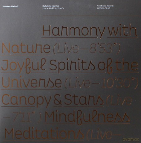 Matthew Halsall: Salute To The Sun Live At Halle St Peter's [2xWinyl]