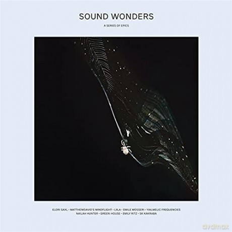 Sound Wonders [Winyl]