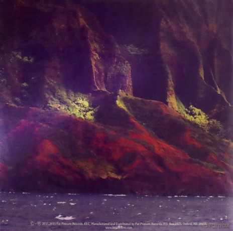 Youth Lagoon: The Year of Hibernation 10th Anniversary Edition [2xWinyl]