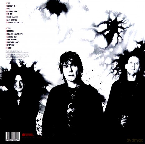 The Goo Goo Dolls: Greatest Hits Volume One - The Singles [Winyl]