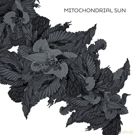 Mitochondrial Sun: Mitochondrial Sun (digipack) [CD]