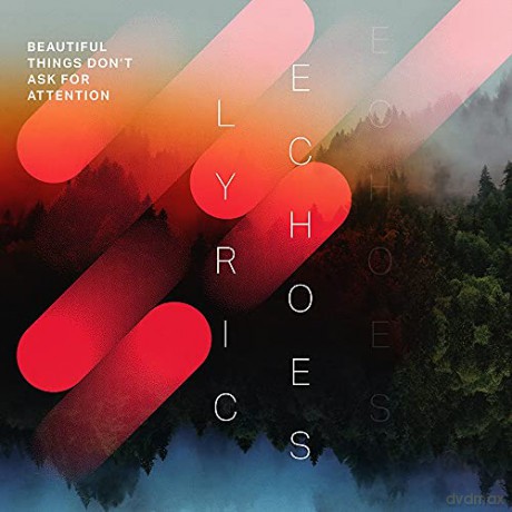 Lyric Echoes: Beautiful Things DonT Ask For [CD]