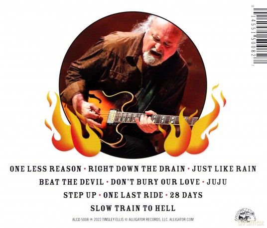 Tinsley Ellis: Devil May Care [CD]