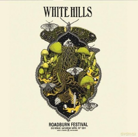 White Hills: Live at Roadburn 2011 [Winyl]
