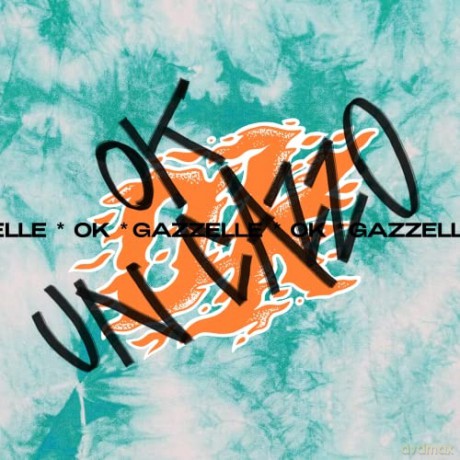 Gazzelle: Ok Un Cazzo [CD]