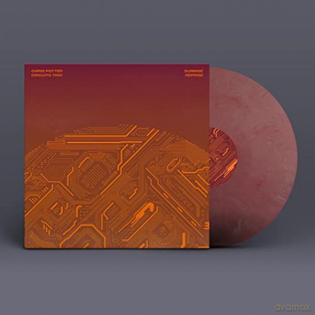 Chris Potter: Sunrise Reprise [Winyl]