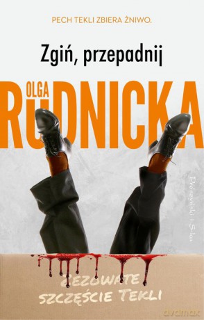 Zgiń przepadnij - Olga Sawicka [KSIĄŻKA]