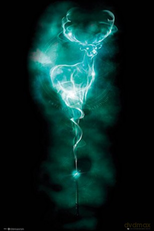 HARRY POTTER Patronus Stag Plakat (91.5x61)