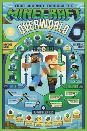 MINECRAFT Overworld Biome Plakat (91.5x61)