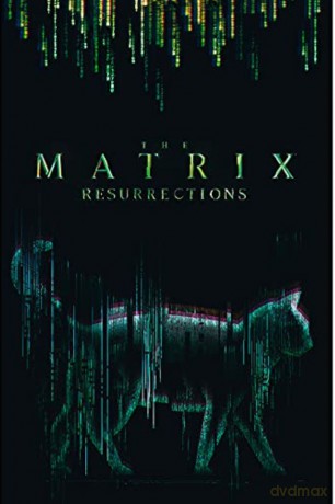 THE MATRIX Cat Plakat (91.5x61)