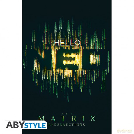 THE MATRIX Hello Neo Plakat (91.5x61)