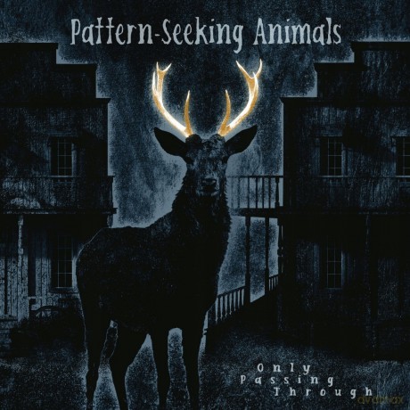 Pattern-Seeking Animals: Only Passing Through [2xWinyl]+[CD]