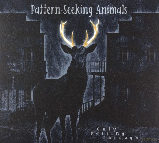 Pattern-Seeking Animals: Only Passing Through (Limited) [CD]