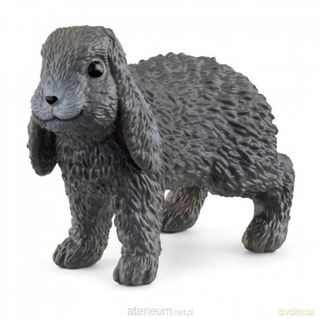 Królik lop
