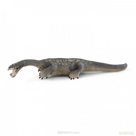 Notozaur