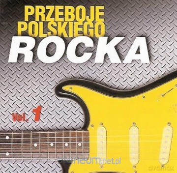Przeboje polskiego rocka vol.1 [CD]