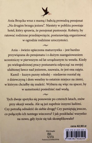 Pensjonat na brzegu jeziora - Julia Furmaniak [KSIĄŻKA]