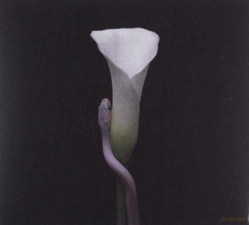 Animals As Leaders: Parrhesia [CD]