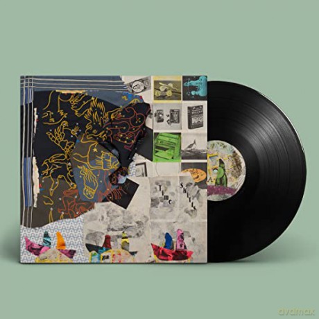 Animal Collective: Time Skiffs [Winyl]