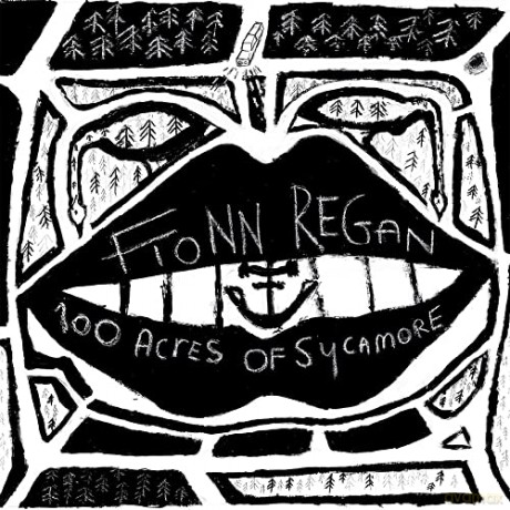 Fionn Regan: 100 Acres Of Sycamore [Winyl]