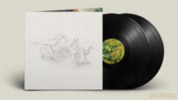 Big Thief: Dragon New Warm Mountain I Believe In You [2xWinyl]