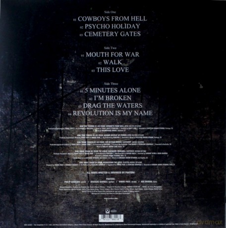 Pantera: 1990-2000: A Decade Of Domination (Black Ice) [2xWinyl]