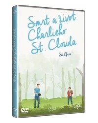 Charlie St. Cloud [DVD]
