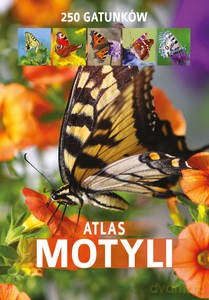 Atlas motyli - Kamila Twardowska, Jacek Twardowski [KSIĄŻKA]
