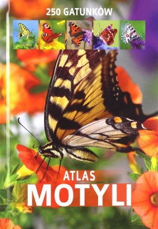 Atlas motyli - Kamila Twardowska, Jacek Twardowski [KSIĄŻKA]