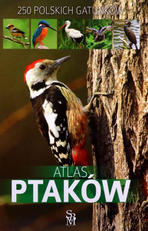 Atlas ptaków - Dominik Marchowski [KSIĄŻKA]