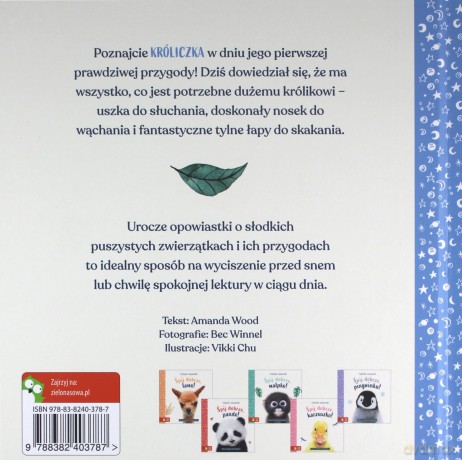 Czytanki-wyciszanki. Śpij dobrze, króliczku - Amanda Wood [KSIĄŻKA]