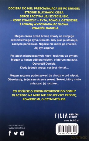 Zaginiony chłopiec - Nicole Trope [KSIĄŻKA]