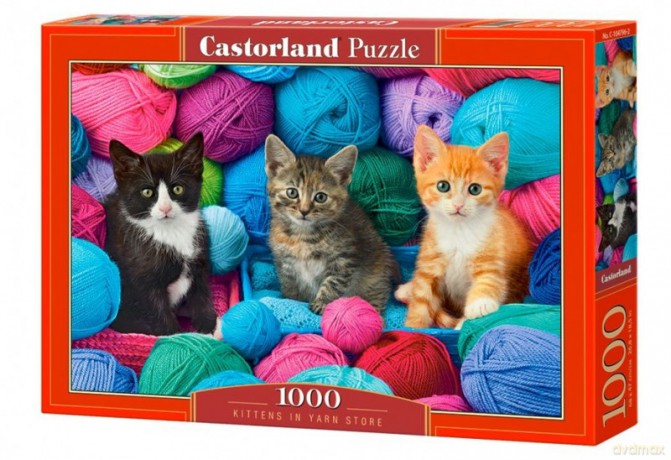 CASTORLAND 1000 el. Koty w kłębkach wełny [PUZZLE]