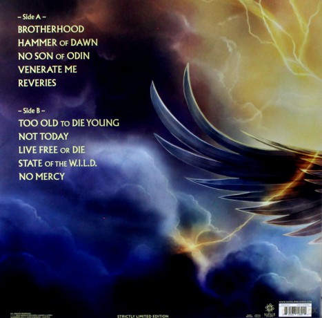 Hammerfall: Hammer Of Dawn [Winyl]