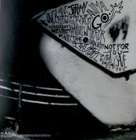 Pearl Jam: rearviewmirror (greatest hits 1991-2003): Volume 1 [2xWinyl]