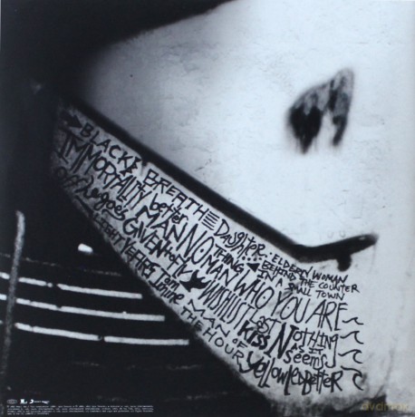 Pearl Jam: rearviewmirror (greatest hits 1991-2003): Volume 2 [2xWinyl]