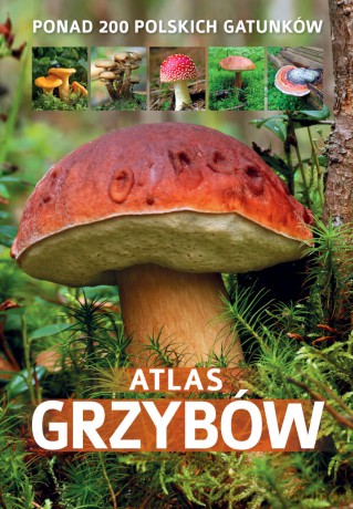 Atlas grzybów - Patrycja Zarawska [KSIĄŻKA]