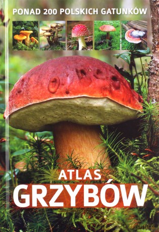 Atlas grzybów - Patrycja Zarawska [KSIĄŻKA]