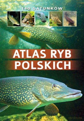 Atlas ryb polskich - Bogdan Wziątek, Łukasz Kolasa [KSIĄŻKA]