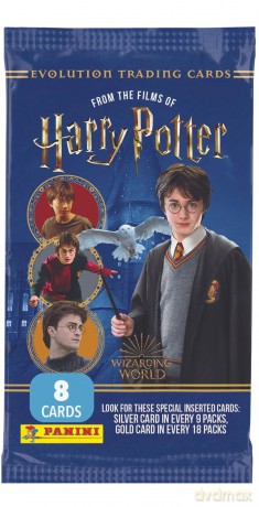 Harry Potter Saszetka z kartą [FIGURKA]